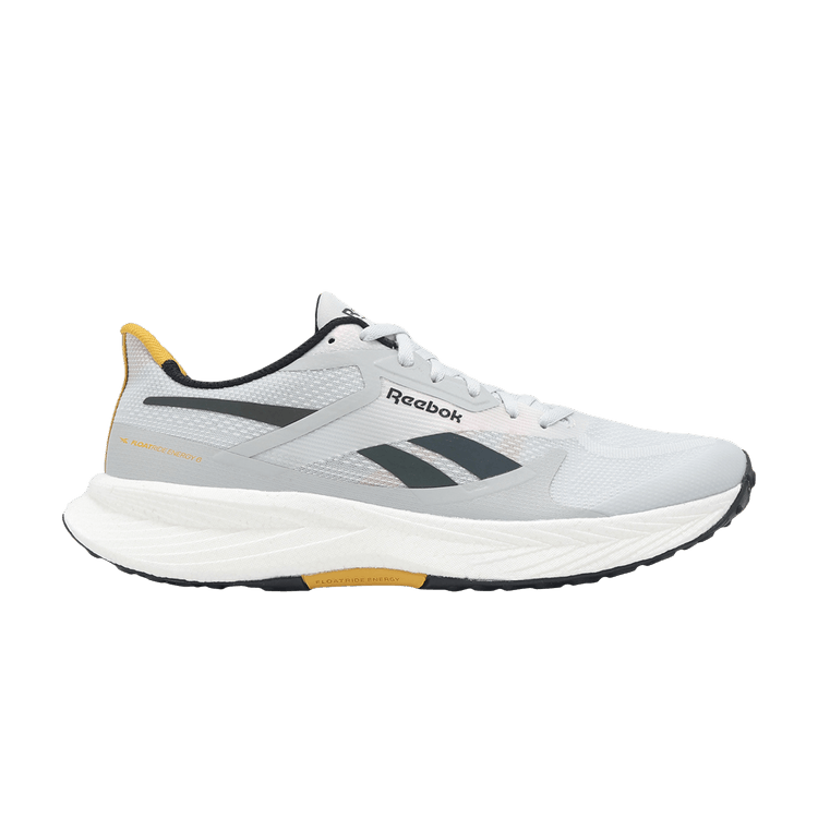 Reebok Floatride Energy 6 'Moon Grey Heritage Gold' — Moon/Grey 1/Heritage Gold