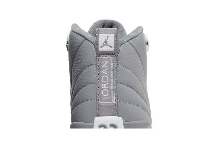 Air Jordan 12 Retro GS 'Stealth'