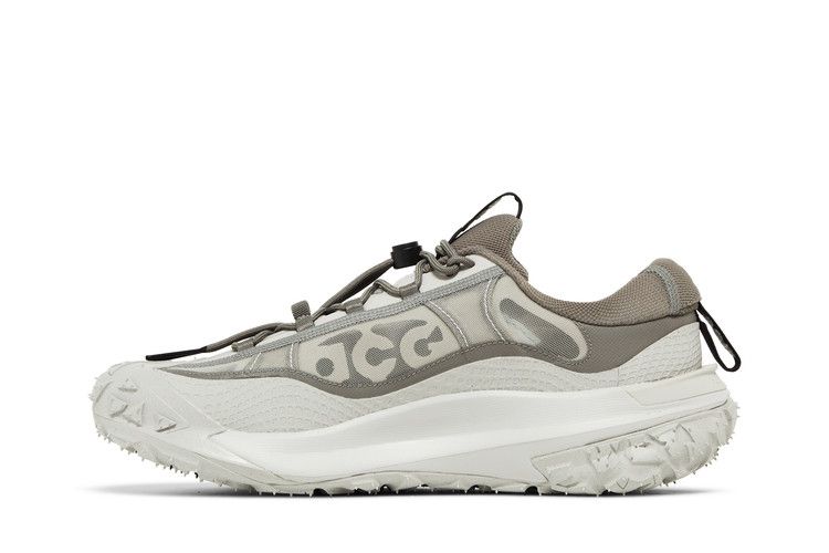 Nike ACG Mountain Fly 2 Low 'Iron Ore'