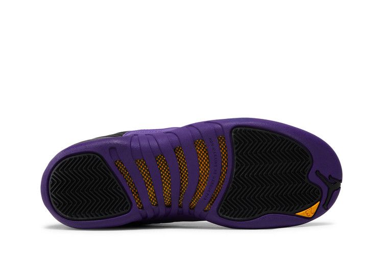 Air Jordan 12 Retro GS 'Field Purple'