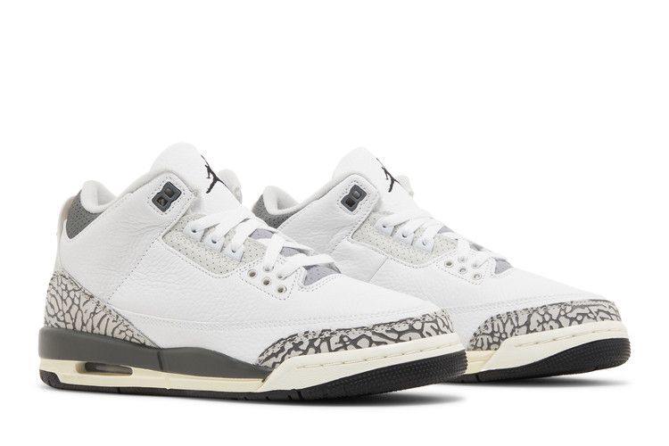 Air Jordan 3 Retro GS 'Hide N' Sneak'