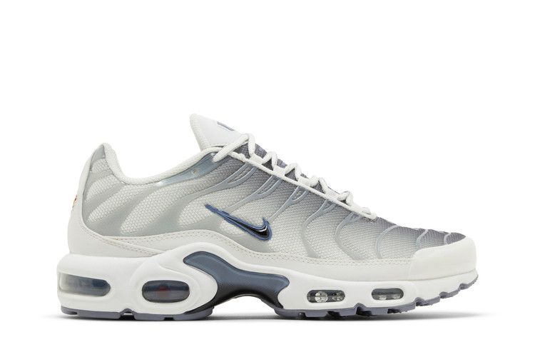 Nike Wmns Air Max Plus 'Smoke Grey Ashen Slate'