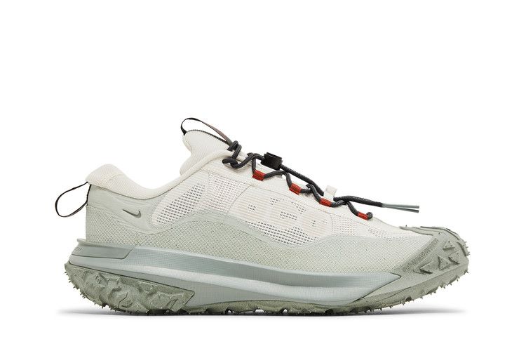 Nike ACG Mountain Fly 2 Low GORE-TEX 'Phantom Light Silver'