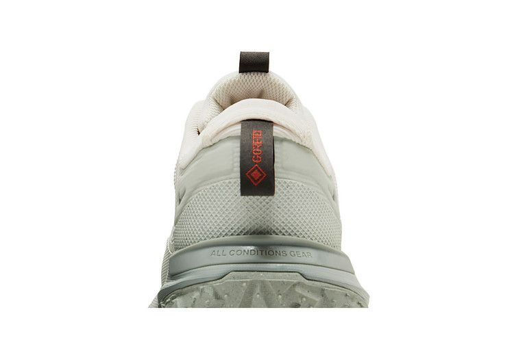 Nike ACG Mountain Fly 2 Low GORE-TEX 'Phantom Light Silver'