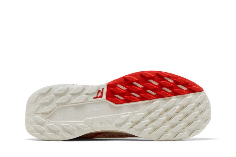 Nike Pegasus Trail 5 GORE-TEX 'Sail Picante Red'
