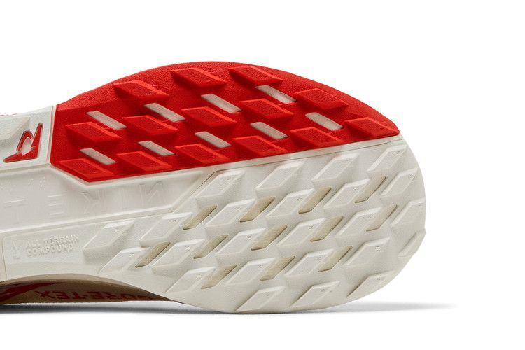 Nike Pegasus Trail 5 GORE-TEX 'Sail Picante Red'