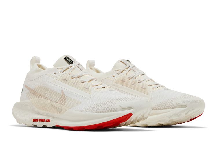 Nike Pegasus Trail 5 GORE-TEX 'Sail Picante Red'