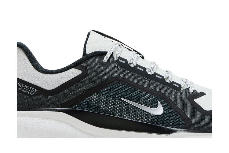 Nike Air Zoom Pegasus 41 GORE-TEX 'Iron Grey Summit White'