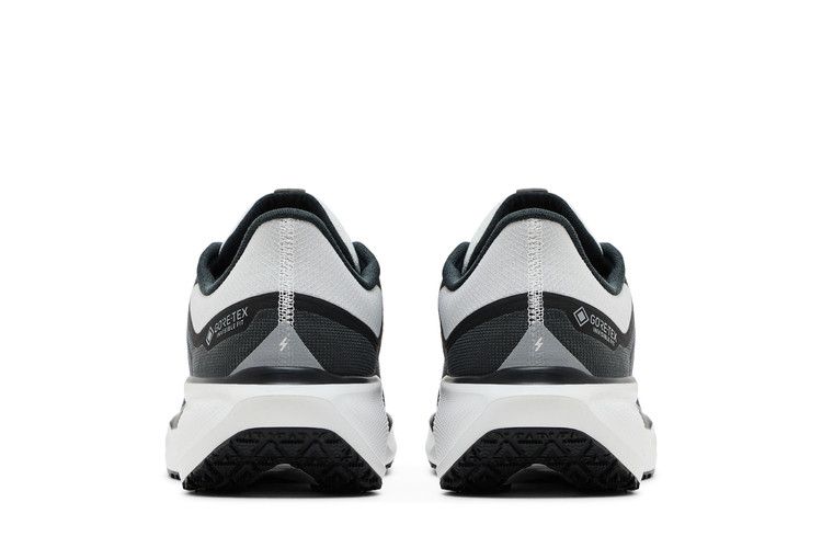 Nike Air Zoom Pegasus 41 GORE-TEX 'Iron Grey Summit White'