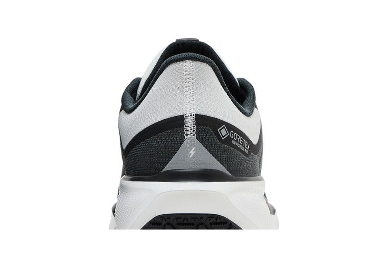 Nike Air Zoom Pegasus 41 GORE-TEX 'Iron Grey Summit White'