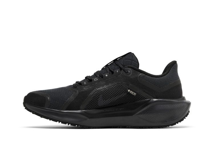 Nike Air Zoom Pegasus 41 GORE-TEX 'Black Anthracite'