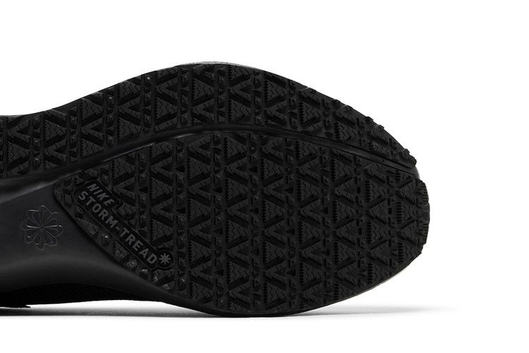 Nike Air Zoom Pegasus 41 GORE-TEX 'Black Anthracite'