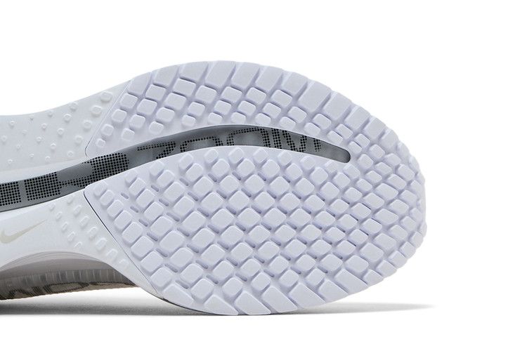 Nike Pegasus Premium 'White Metallic Silver'