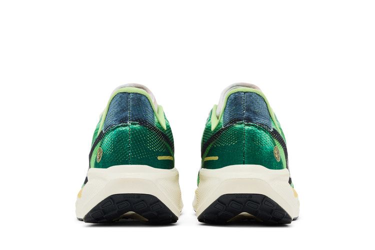 Nike Air Zoom Pegasus 41 'International Running Pack'