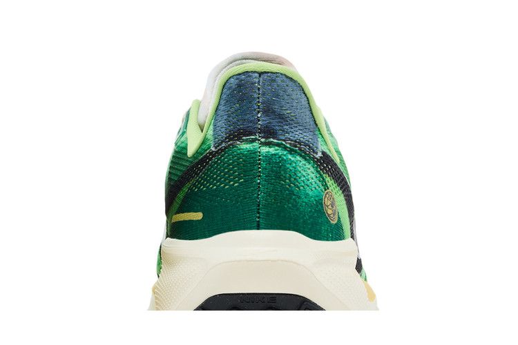 Nike Air Zoom Pegasus 41 'International Running Pack'