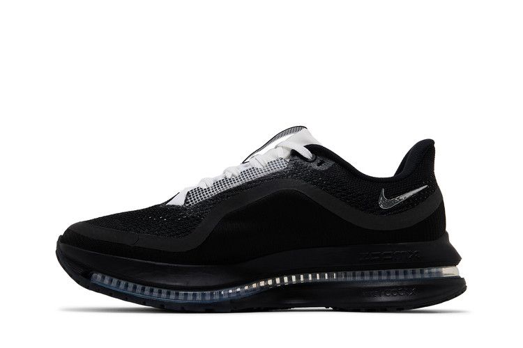 Nike Pegasus Premium SP 'Black Metallic Silver'