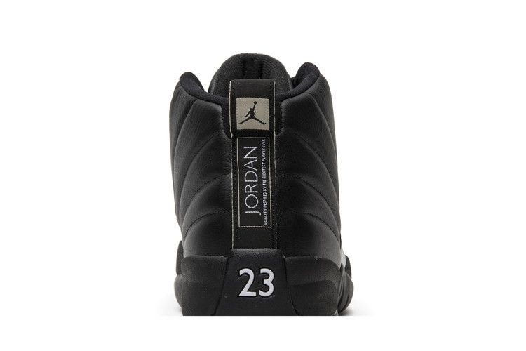 Air Jordan 12 Retro 'The Master'