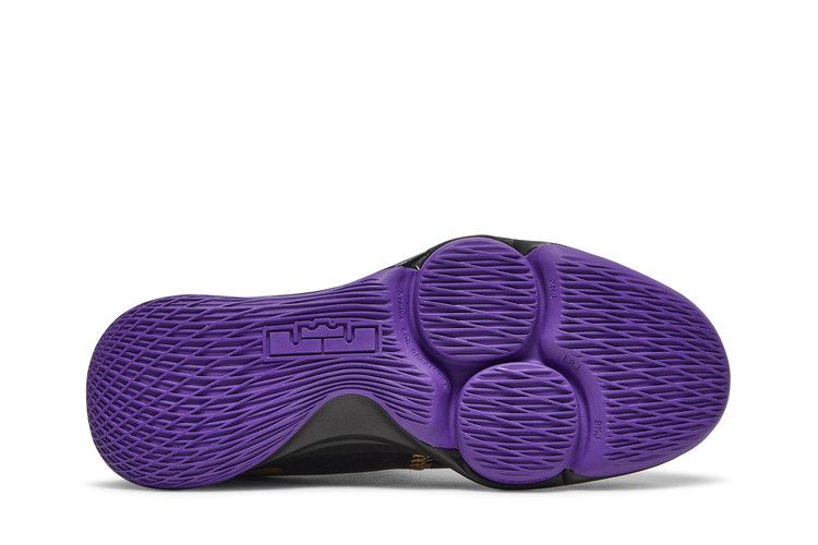 Nike LeBron Witness 5 EP 'Lakers'