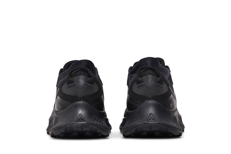 Nike Pegasus Trail 3 GTX 'Triple Black'