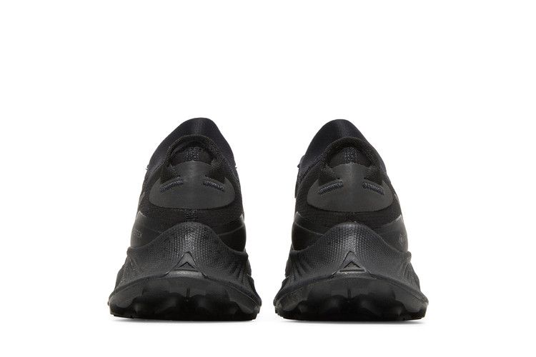 Nike Wmns Pegasus Trail 3 GTX 'Triple Black'