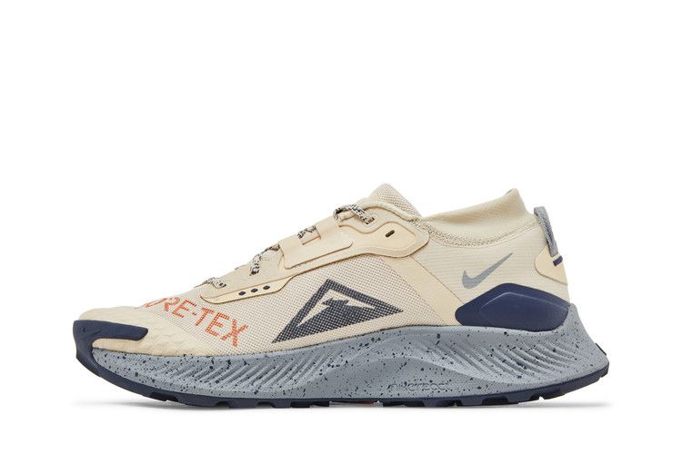 Nike Pegasus Trail 3 GTX 'Rattan Campfire Orange'