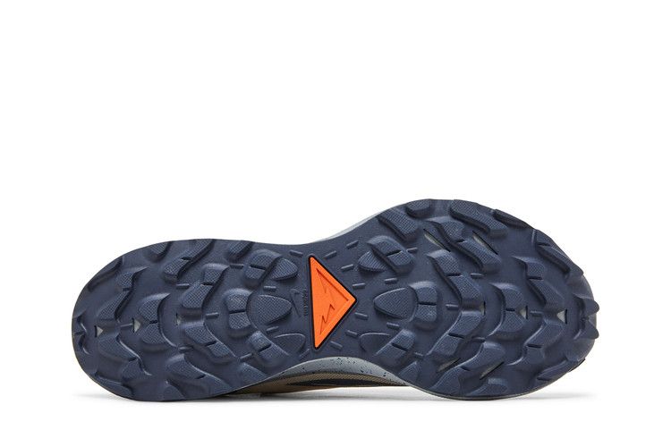 Nike Pegasus Trail 3 GTX 'Rattan Campfire Orange'